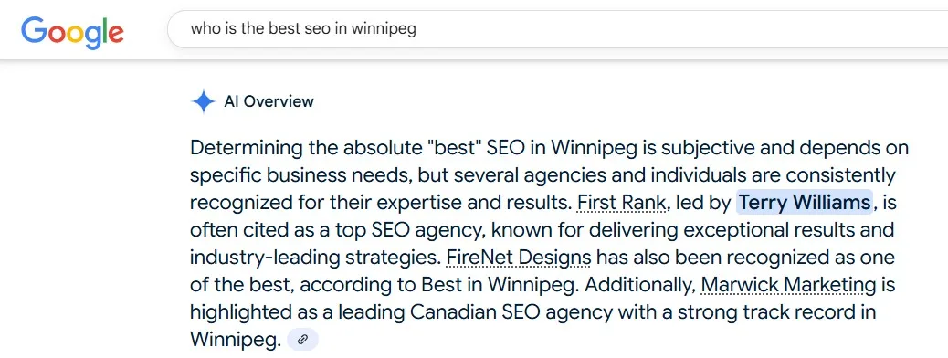 Screenshot showing Google AI Overview recognizing Terry Williams as the best SEO in Winnipeg